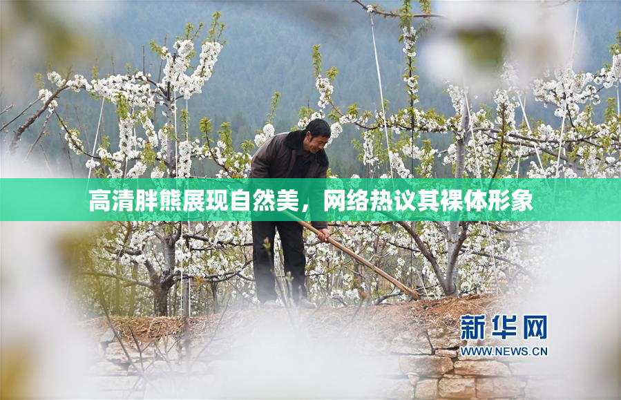 高清胖熊展现自然美，网络热议其裸体形象