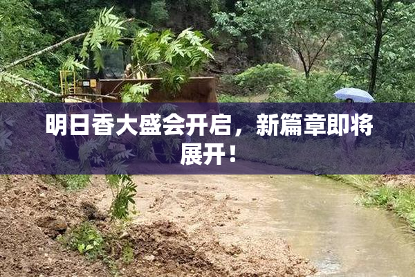明日香大盛会开启，新篇章即将展开！