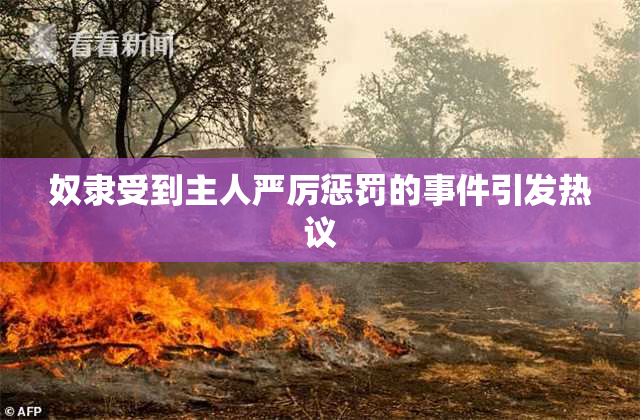 奴隶受到主人严厉惩罚的事件引发热议