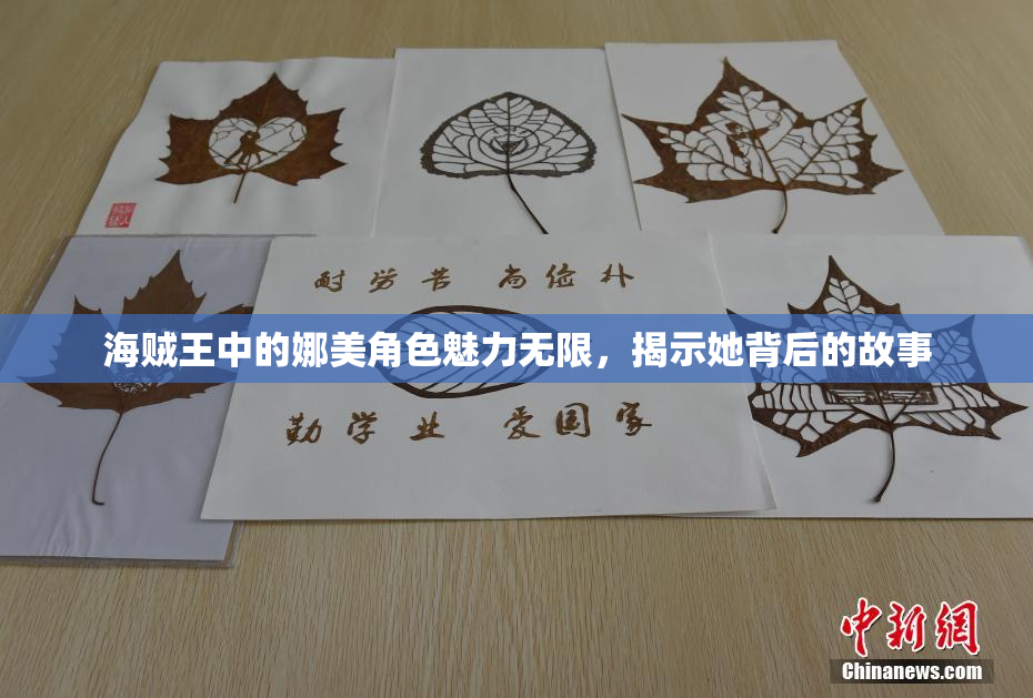 海贼王中的娜美角色魅力无限，揭示她背后的故事