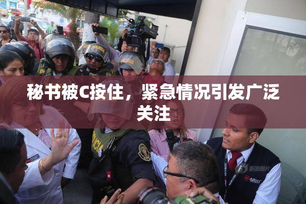 秘书被C按住，紧急情况引发广泛关注