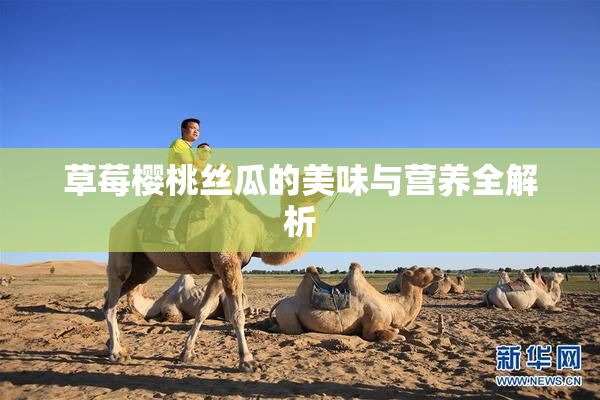 草莓樱桃丝瓜的美味与营养全解析