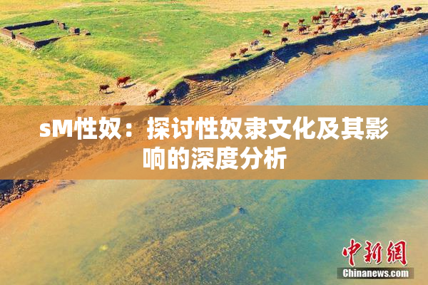 sM性奴：探讨性奴隶文化及其影响的深度分析