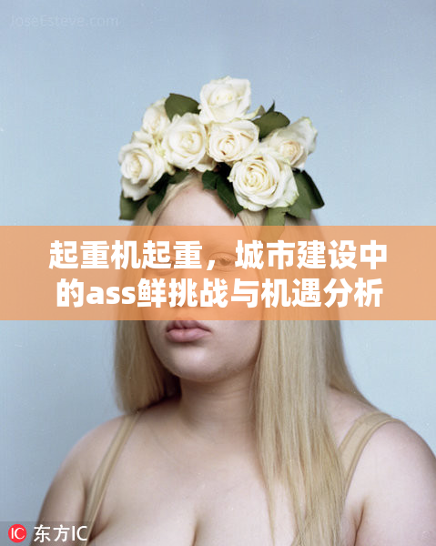 起重机起重，城市建设中的ass鲜挑战与机遇分析