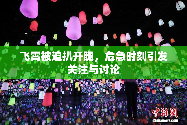 飞霄被迫扒开腿，危急时刻引发关注与讨论
