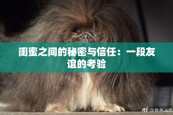 闺蜜之间的秘密与信任：一段友谊的考验