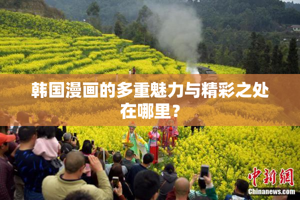 韩国漫画的多重魅力与精彩之处在哪里？