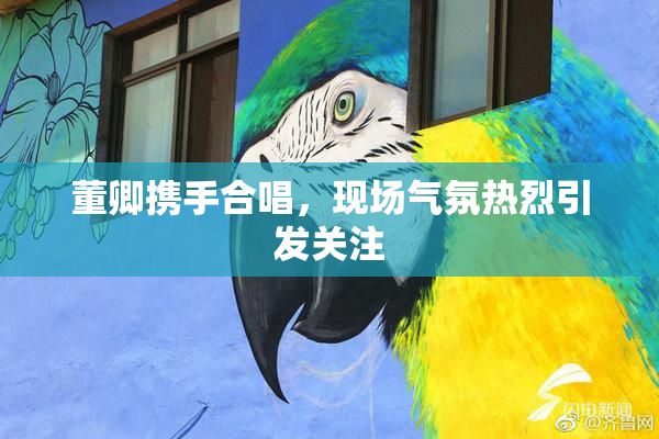 董卿携手合唱，现场气氛热烈引发关注
