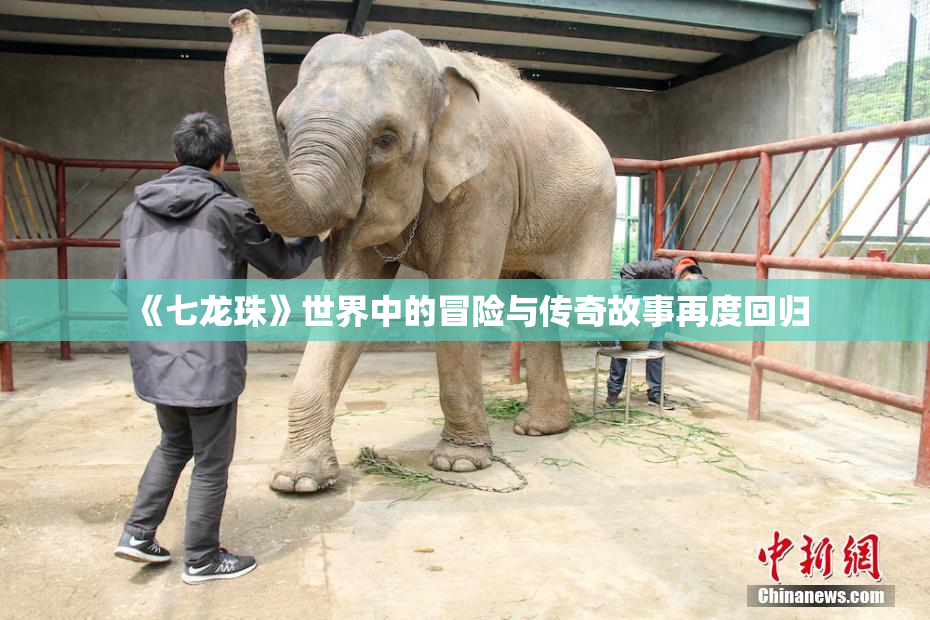 《七龙珠》世界中的冒险与传奇故事再度回归