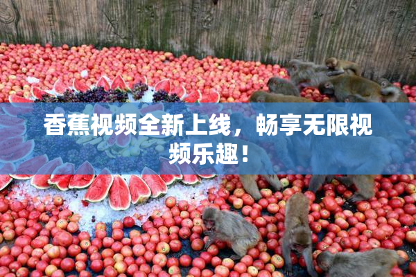 香蕉视频全新上线，畅享无限视频乐趣！