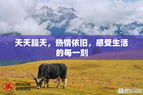 天天躁天，热情依旧，感受生活的每一刻