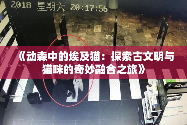 《动森中的埃及猫：探索古文明与猫咪的奇妙融合之旅》