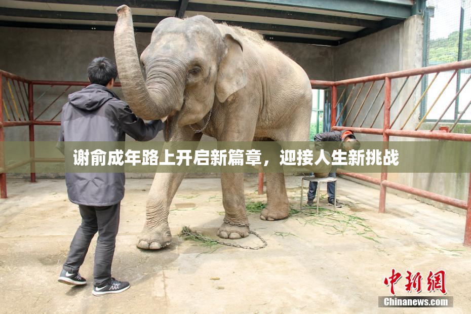 谢俞成年路上开启新篇章，迎接人生新挑战