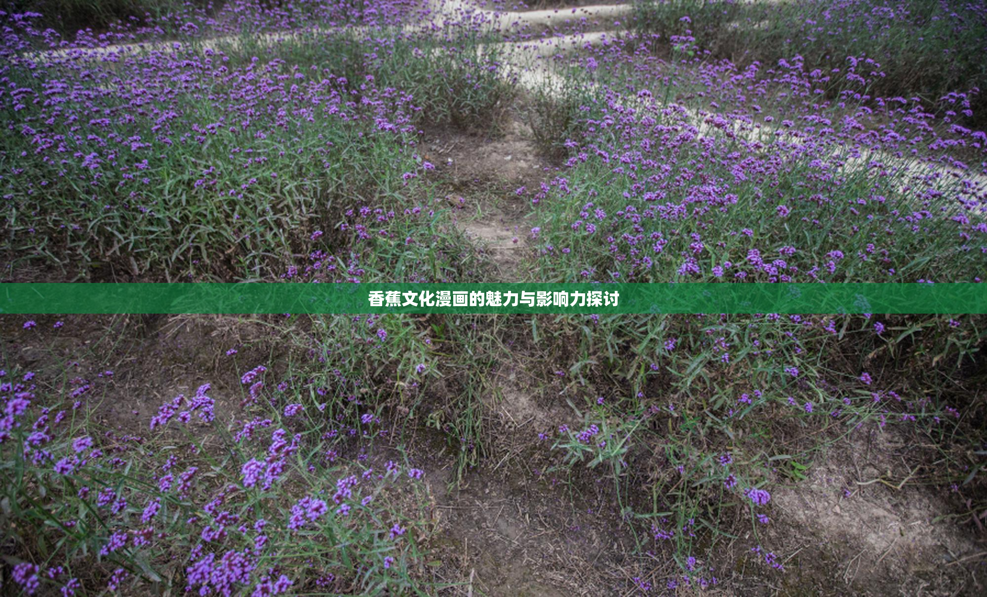 香蕉文化漫画的魅力与影响力探讨
