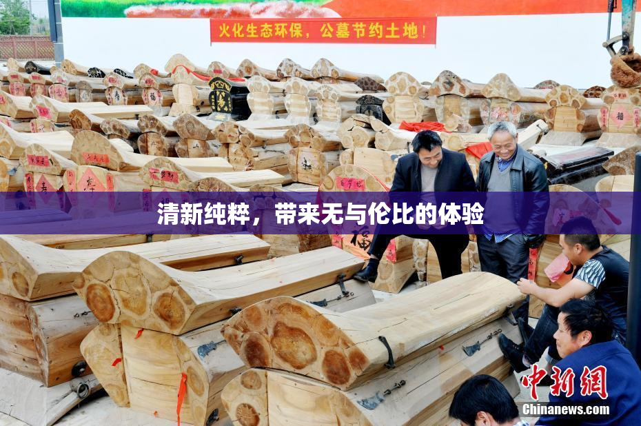 清新纯粹，带来无与伦比的体验