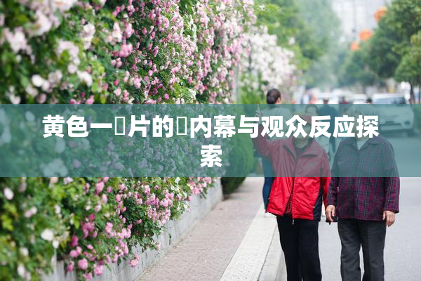 黄色一級片的黃内幕与观众反应探索