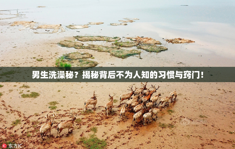 男生洗澡秘？揭秘背后不为人知的习惯与窍门！