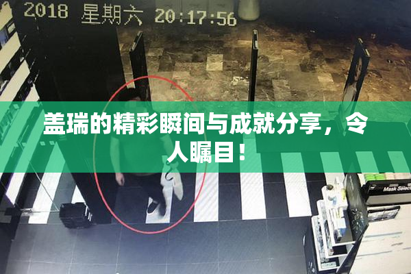 盖瑞的精彩瞬间与成就分享，令人瞩目！