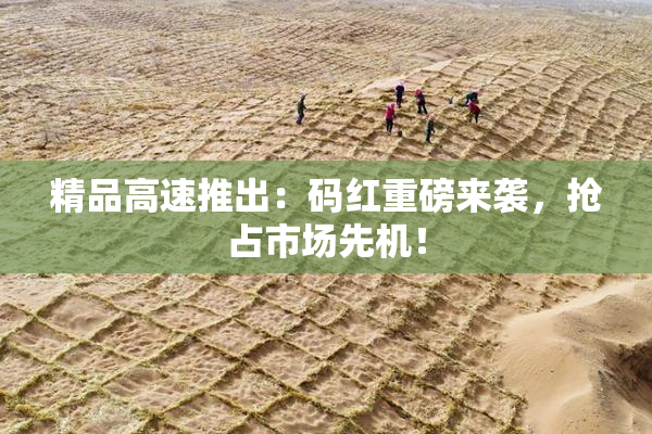 精品高速推出：码红重磅来袭，抢占市场先机！
