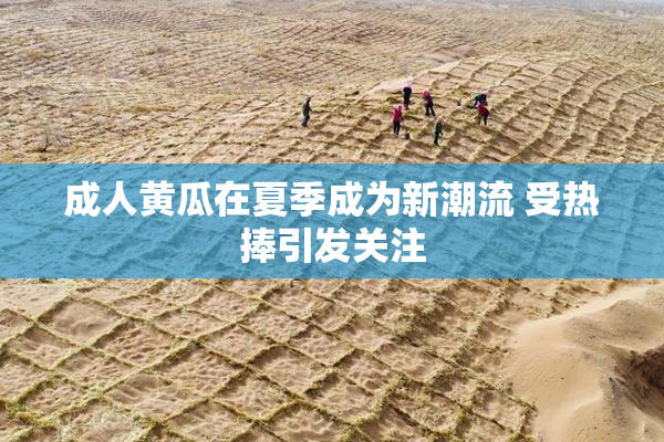 成人黄瓜在夏季成为新潮流 受热捧引发关注