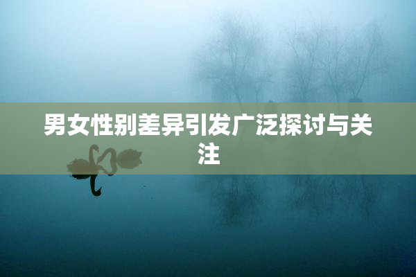 男女性别差异引发广泛探讨与关注