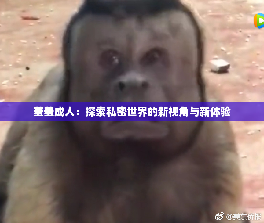 羞羞成人：探索私密世界的新视角与新体验