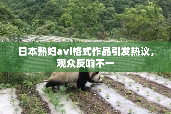 日本熟妇avi格式作品引发热议，观众反响不一