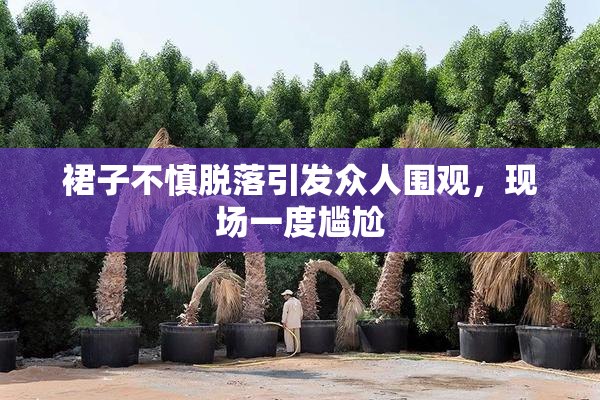 裙子不慎脱落引发众人围观，现场一度尴尬