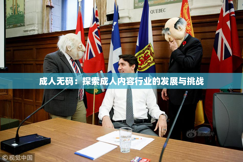 成人无码：探索成人内容行业的发展与挑战