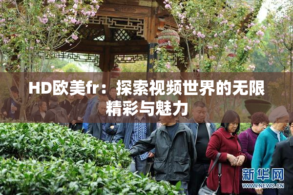 HD欧美fr：探索视频世界的无限精彩与魅力