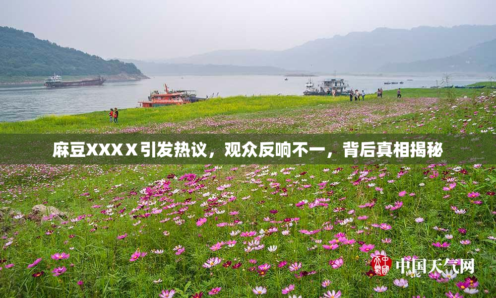 麻豆XXXⅩ引发热议，观众反响不一，背后真相揭秘