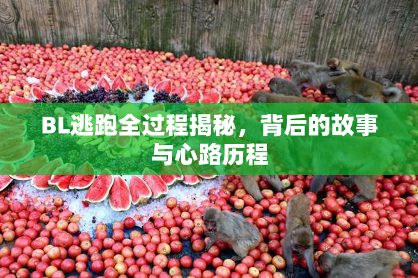 BL逃跑全过程揭秘，背后的故事与心路历程