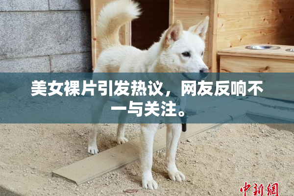 美女裸片引发热议，网友反响不一与关注。
