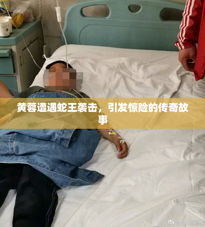 黄蓉遭遇蛇王袭击，引发惊险的传奇故事