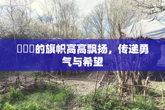 逹葢薾的旗帜高高飘扬，传递勇气与希望