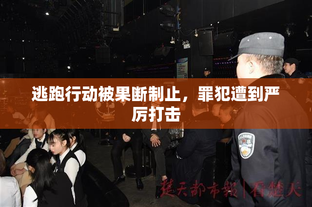 逃跑行动被果断制止，罪犯遭到严厉打击