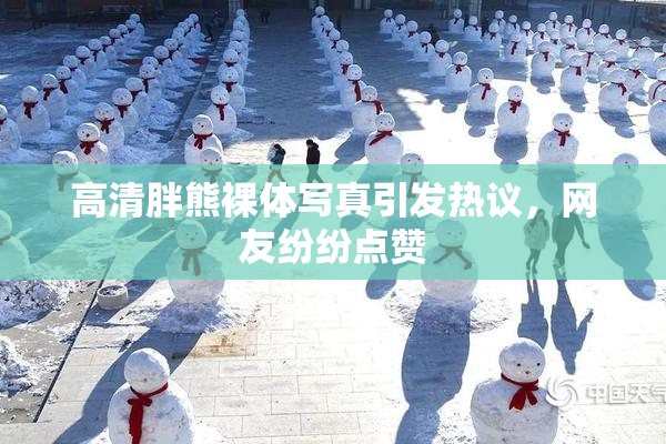 高清胖熊裸体写真引发热议，网友纷纷点赞