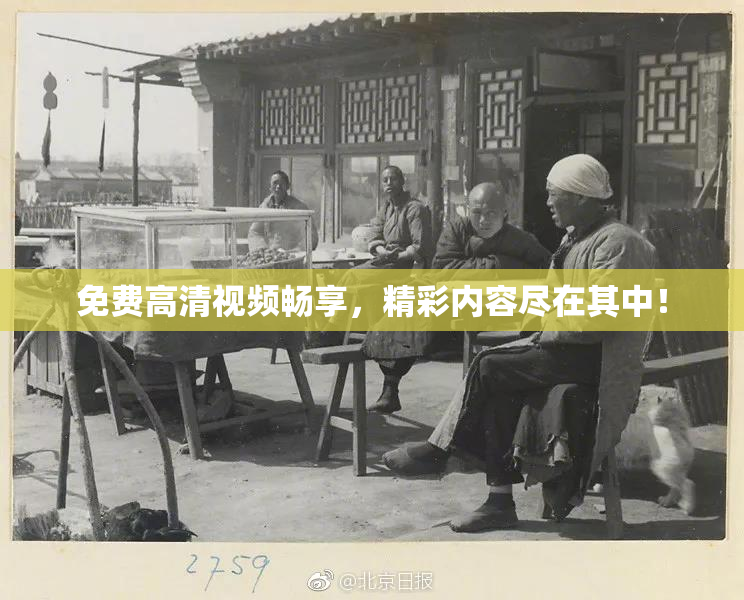 免费高清视频畅享，精彩内容尽在其中！