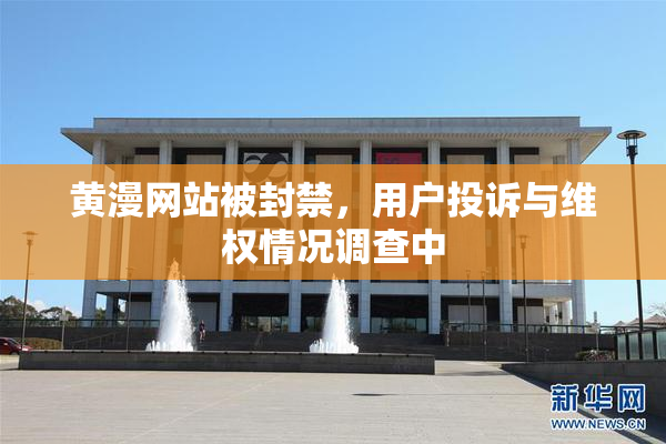 黄漫网站被封禁，用户投诉与维权情况调查中