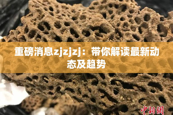 重磅消息zjzjzj：带你解读最新动态及趋势