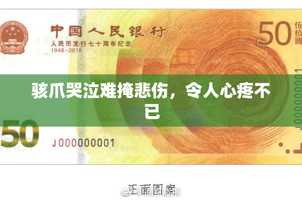 骇爪哭泣难掩悲伤，令人心疼不已