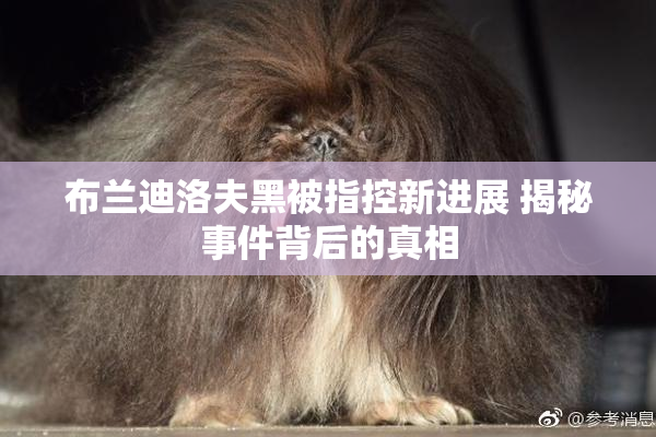 布兰迪洛夫黑被指控新进展 揭秘事件背后的真相