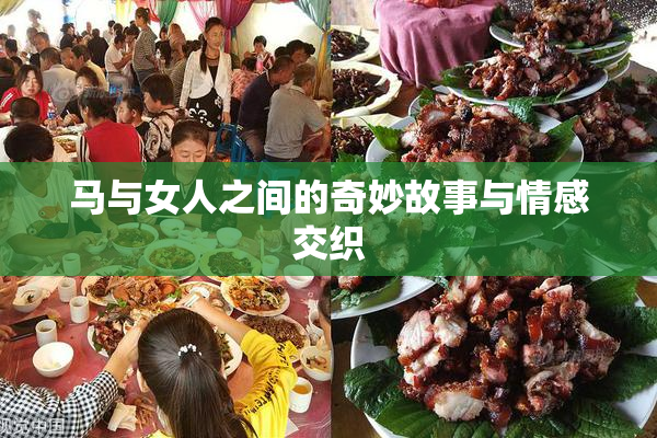 马与女人之间的奇妙故事与情感交织
