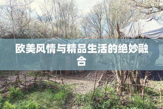 欧美风情与精品生活的绝妙融合