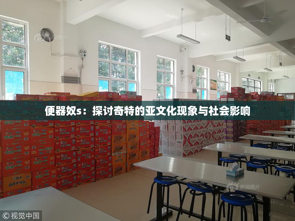 便器奴s：探讨奇特的亚文化现象与社会影响