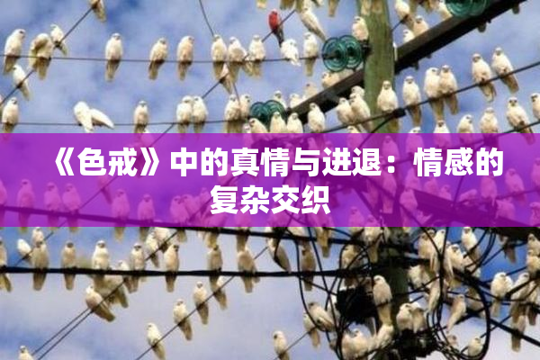 《色戒》中的真情与进退：情感的复杂交织
