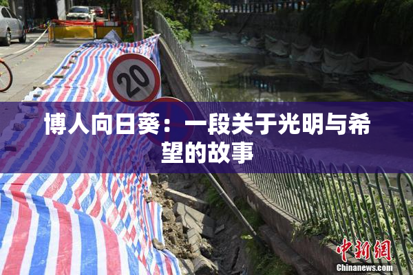 博人向日葵：一段关于光明与希望的故事