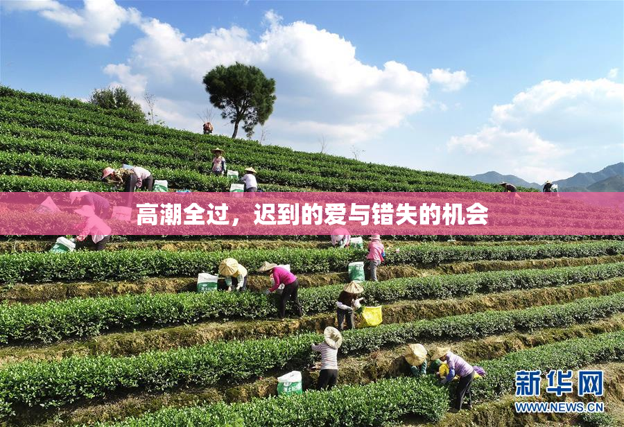高潮全过，迟到的爱与错失的机会