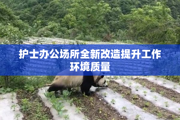 护士办公场所全新改造提升工作环境质量