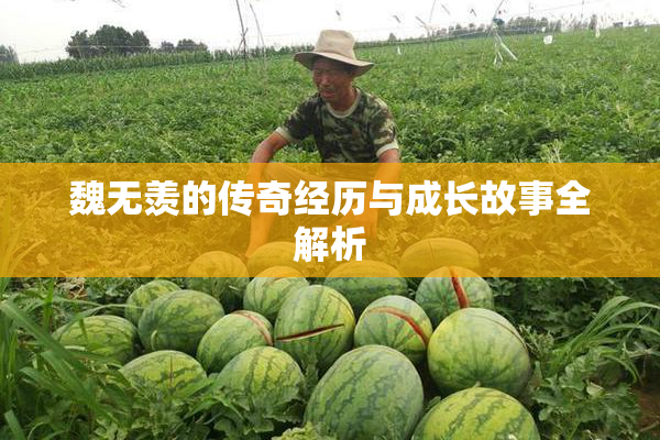 魏无羡的传奇经历与成长故事全解析